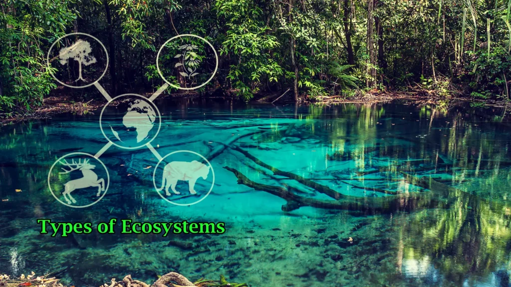 Different types of ecosystems, including forests, deserts, oceans and grasslands